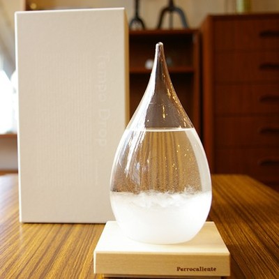 天气预报瓶子 显示瓶 日本tempo drop 蒲公英标本 摆件植物立方体