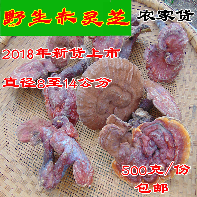 野生靈芝 2018年新貨 直徑8至14公分特大靈芝霍山赤靈芝500克包郵在類目 傳統滋補營養品, 靈芝, 整枝靈芝中 - 來自Buy2taobao.com提供專業的淘寶代購服務