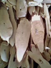  同仁堂品质 中药材 苏子根 紫苏根 酥子根片 治痔疮