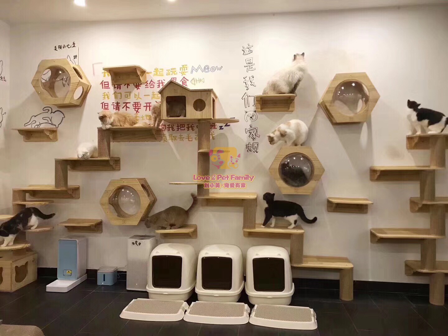 宅木匠 豪华实木猫墙壁挂式猫窝猫跳台跳板猫爬架木质大型猫家具|msdalam kategori haiwan peliharaan/makanan haiwan dan bekalan, Cat/Mainan anjing, rangka mendaki Cat - dari Buy2taobao.com untuk memberikan perkhidmatan ejen Taobao profesional membeli