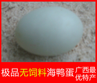  北海特产 自家种养新鲜海鸭蛋 纯天然绿色土鸭蛋 100%安全购买