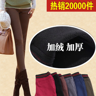  淘金币 韩版打底裤女裤子秋冬新品显瘦加大码加绒加厚铅笔弹力小