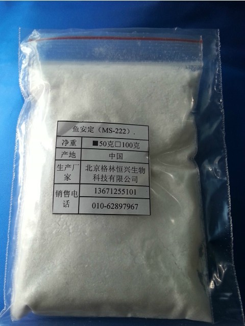配合(DMPT)诱鱼剂之(鱼安定MS222)|msdalam kategori luar/Mountaineer/Camping/Aksesori perjalanan, peralatan memancing, Bait - dari Buy2taobao.com untuk memberikan perkhidmatan ejen Taobao profesional membeli