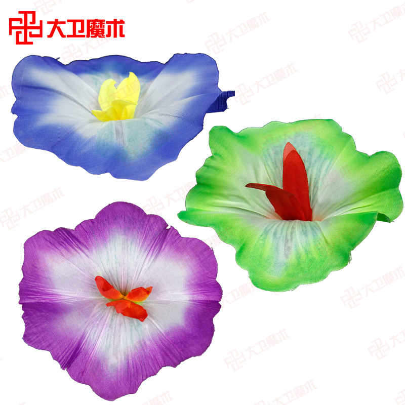 David stage Magic props three-dimensional Hand twist Empty-handed variant flower Empty-handed Double Door Magicin the Play mode/Anime/Periphery/cos/Board games , Meet/Magic Supplies , Magic and acrobatic equipment , Magic props category - from Buy2taobao.com to provide professional Taobao agent buy service