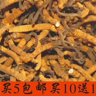  正品西藏那曲虫草冬虫夏草断草88元/克买10克送1克 草头少虫体多