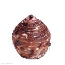 店内搜索页-兴化特产中庄醉蟹