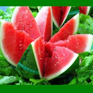  20斤西瓜酿酒套餐 西瓜酿酒辅料 酿酒酵母 葡萄酒自酿坊