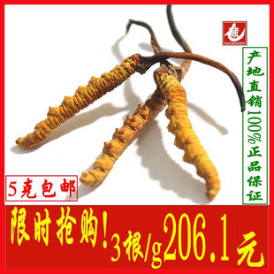  西藏那曲冬虫夏草正品 3根一克同仁堂精选标准新虫草大藏珍宝