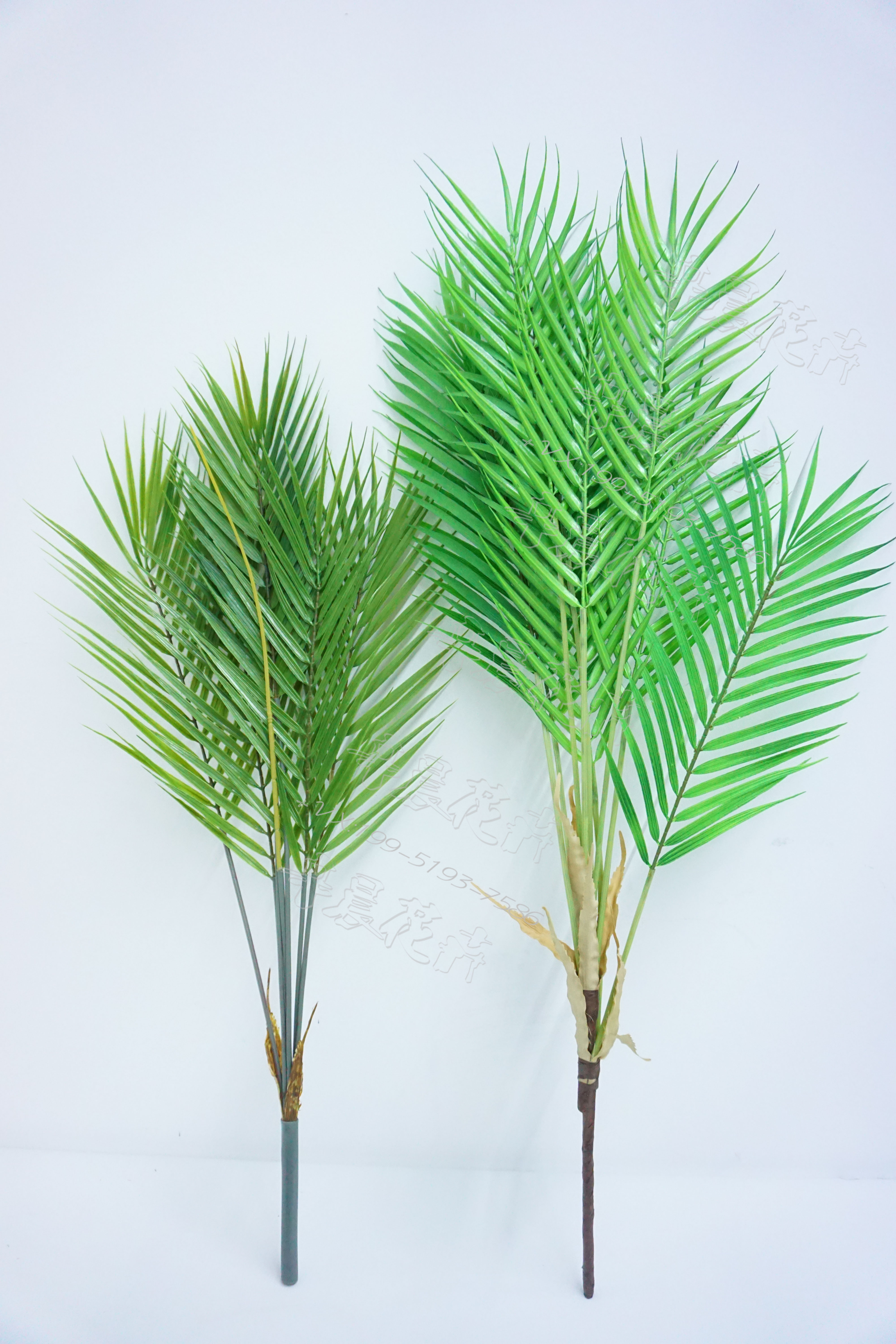 Fengweizhu/San Weikui have cash less than that is registered in the accounts simulation San Weikui simulation Green plant flower arrangement DPM a living room decorate Placein the Flower delivery/Flowers simulation/Plants gardening , Artificial flowers/Plants/Finished fruits and vegetables (New) , Simulation plants category - from Buy2taobao.com to provide professional Taobao agent buy service