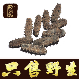  【野参堂】 野生淡干海参AB100 7-9年高品质辽参干货 5-20只 50g
