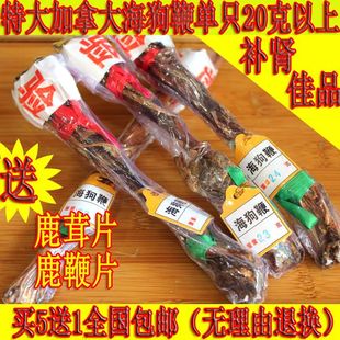  全干 检验 海狗鞭 海狗肾宝 特补药酒  48元 包邮 送鹿茸片鹿鞭片
