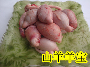  正宗黑山羊 新鲜羊鞭 羊蛋 羊宝 羊腰子斤另有新鲜 生羊肉