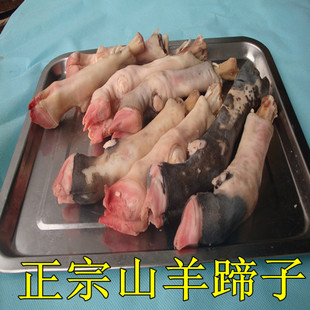  新鲜生羊蹄子 山羊羊蹄 羊脚  另有新鲜黑山羊肉 羊杂 羊蝎子