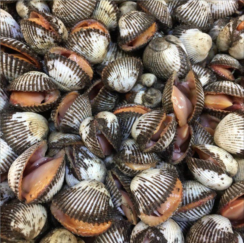 Dalian Bohai Sea specialty fresh Blood cockles Clam clam 500g Fresh clam Maogeli The hotel restaurant within the Aquatic meat/Fresh fruits and vegetables/Cooked , Seafood/Aquatic/Product , Shellfish , Shellfish Products category - from Buy2taobao.com to provide professional Taobao agent buy service