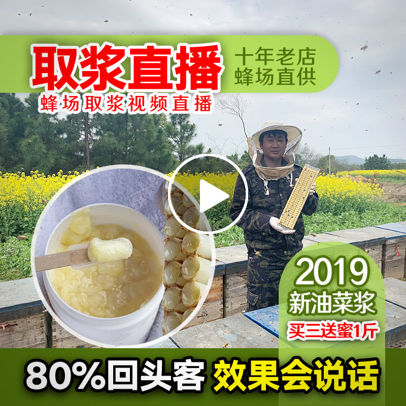 2019高活性春浆 新鲜蜂王浆 农家自产天然油菜蜂皇浆500g包邮在类目 传统滋补营养品, 蜂产品, 蜂王浆中 - 来自Buy2taobao.com提供专业的淘宝代购服务