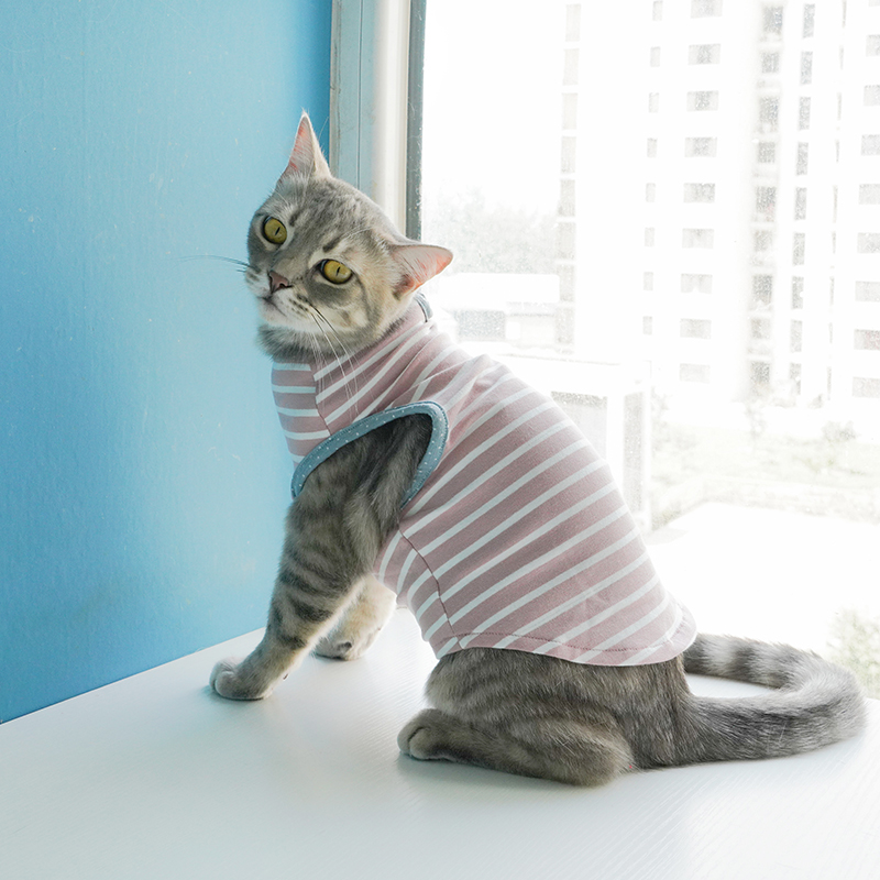 日系清新小条纹背心 宠物猫衣服 狗狗衣服 薄款 春夏 防蚊透气|ruв категории животное/Животное питание и принадлежностей, одежды и аксессуаров для домашних животных, домашний костюм/плащ - от Buy2taobao.com для оказания профессиональной услуги покупки агента Taobao