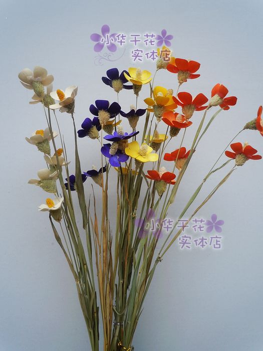 violet Yunnan manual Botany Dried flowers decorate The flowers Bouquet of flowers a living room table Flower art Countrysidein the Flower delivery/Flowers simulation/Plants gardening , Artificial flowers/Plants/Finished fruits and vegetables (New) , Artificial flowers category - from Buy2taobao.com to provide professional Taobao agent buy service