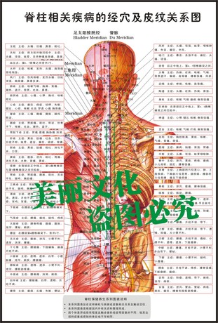 脊椎脊柱挂图5《脊柱相关疾病的经穴及皮纹关