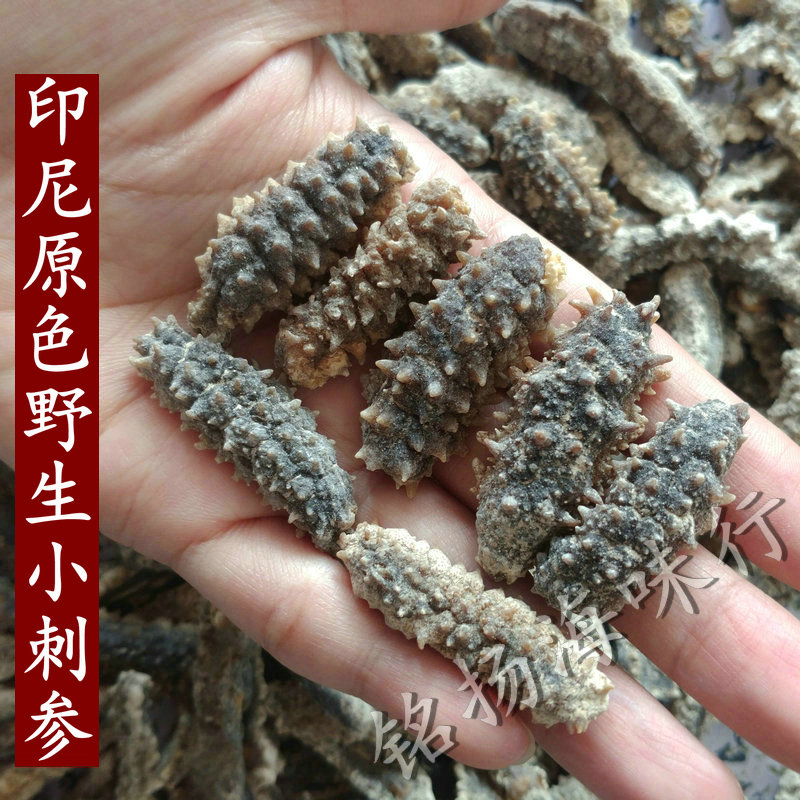 印尼野生刺参海参干货海参海深非大连野生辽参100g/500克海渗包邮|msdalam kategori daging perikanan/Buah-buahan segar dan sayur-sayuran/dimasak, makanan laut/produk akuatik/produk, gamat - dari Buy2taobao.com untuk memberikan perkhidmatan ejen Taobao profesional membeli