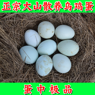  大山散养乌鸡蛋 营养比土鸡蛋更好 绿壳鸡蛋乌骨鸡蛋草鸡蛋柴鸡蛋