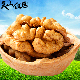  天山佳园 核桃 新疆薄皮大生核桃500克非纸皮核桃 特产坚果零食
