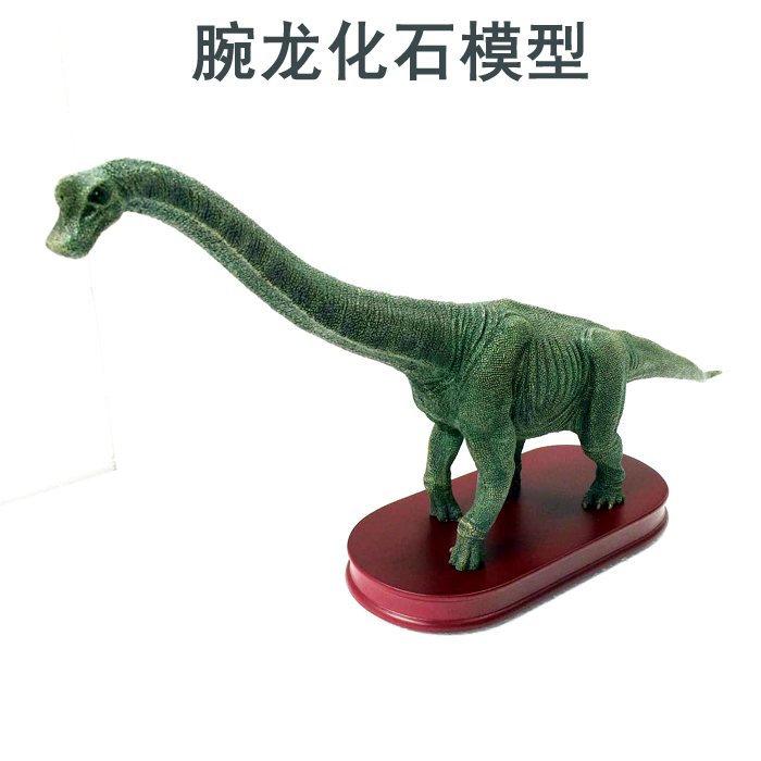 supply Dragon ornaments decorate dinosaur Fossil Model Wine cabinet Home Furnishing decorate Decoration Fossil Decorationin the Toy/Childs/Puzzle/Building block/Model , Simulation/Play house toys , Simulation/Animal dolls category - from Buy2taobao.com to provide professional Taobao agent buy service