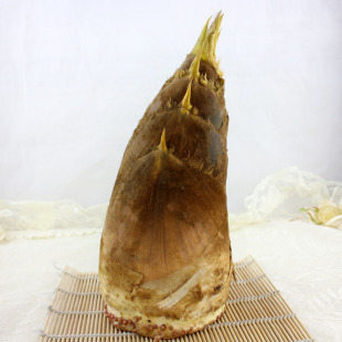  新鲜春笋尖 毛竹笋 500g 绿色天然食品 森林蔬菜 素食