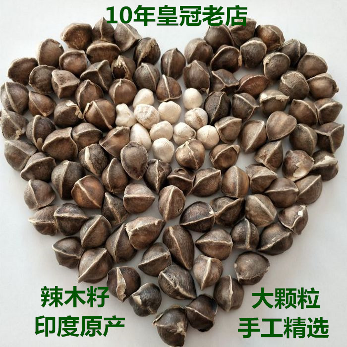 野生辣木籽 印度产的辣木子 辣木树籽 种子大颗粒250g新货在类目 传统滋补营养品, 其他传统滋补品, 传统滋补品其他中 - 来自Buy2taobao.com提供专业的淘宝代购服务