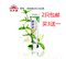 上下架计划:2只包邮太安堂柯医师皮宝粉刺霜15g 青春痘 闭合性粉刺 痤疮