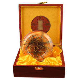  骏华天宝 玉树冬虫夏草青海虫草正品批发同仁堂级4根/克 5g礼盒装