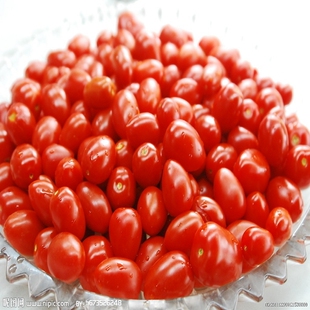 【宜家哓店】寿光冬暖式大棚 有机小番茄圣女果富含维生素250g