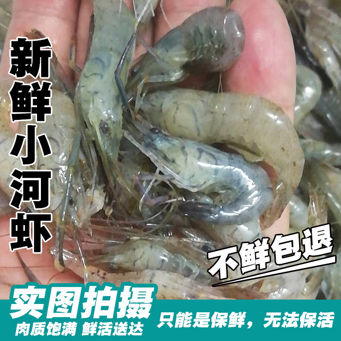 Fresh aquatic products Fresh Shrimp Shrimp Freshwater Shrimp Roche shrimp Same city Distribution Shunfengin the Aquatic meat/Fresh fruits and vegetables/Cooked , Seafood/Aquatic/Product , Shrimp , Huoxia category - from Buy2taobao.com to provide professional Taobao agent buy service