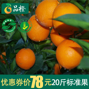  江西特产赣南特产脐橙赣南脐橙20斤信丰脐橙新鲜水果脐橙