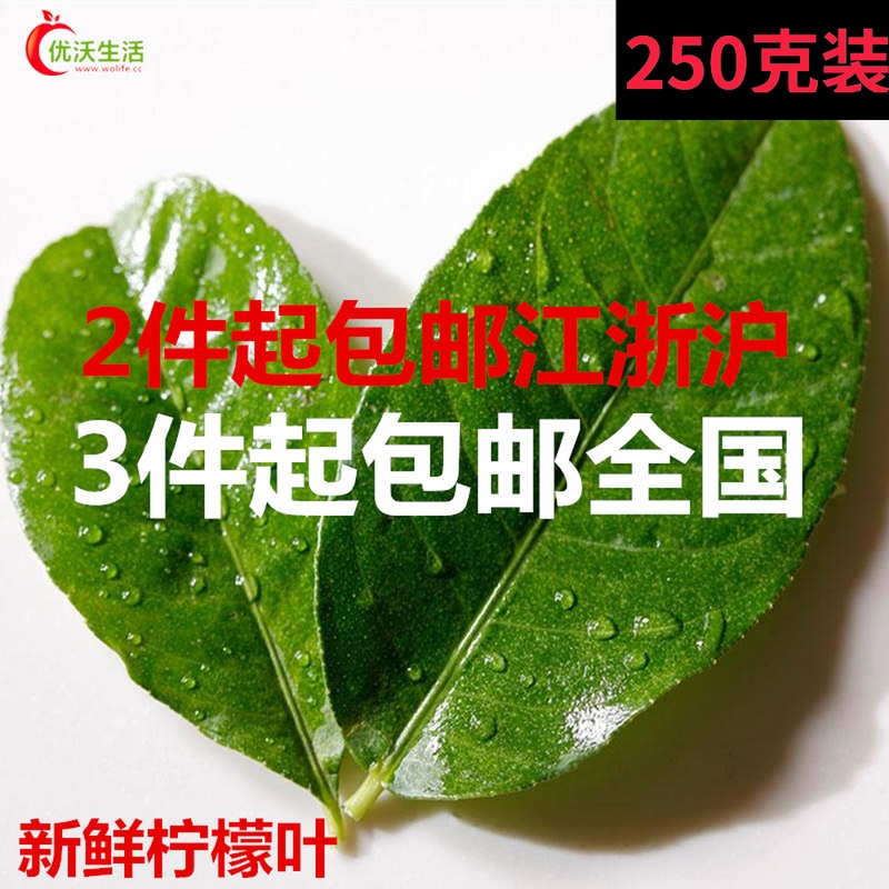 新鮮檸檬葉 青檸葉 泰國冬陰功湯調料250g 有刺,易紮人 青檸葉在類目 水產肉類/新鮮蔬果/熟食, 新鮮蔬菜/蔬菜製品, 新鮮蔬菜, 其它中 - 來自Buy2taobao.com提供專業的淘寶代購服務