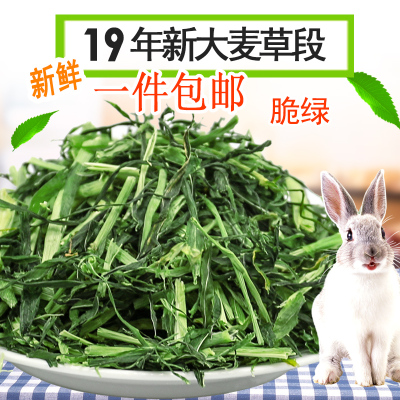 1包包邮饲料粮食大麦草段500g荷兰猪兔子龙猫豚鼠干草粗纤维