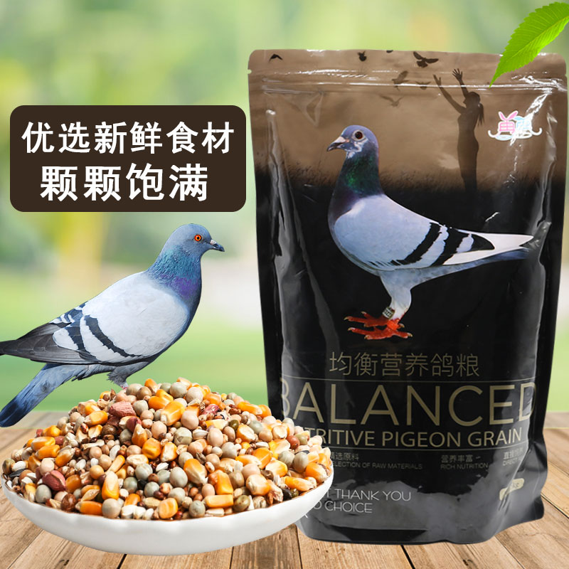 鸟食鸽粮饲料鸽子玉米粒营养饲料豌豆信鸽赛鸽5斤装大袋在类目 宠物/宠物食品及用品, 鸟类及用品, 鸟食中 - 来自Buy2taobao.com提供专业的淘宝代购服务