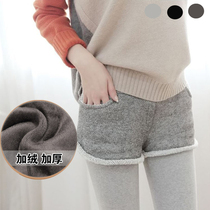 假两件打底裤裙裤 秋冬<em>女士 外穿短裤</em> 加厚打底