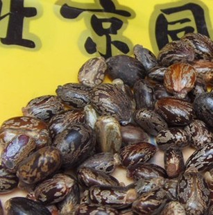  同仁堂 中药材 蓖麻子 蓖麻仁 蓖麻籽 消肿拔毒 无杂质 粒粒饱满