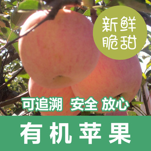  和圣有机烟台苹果 新鲜水果苹果 山东烟台红富士 获有机认证