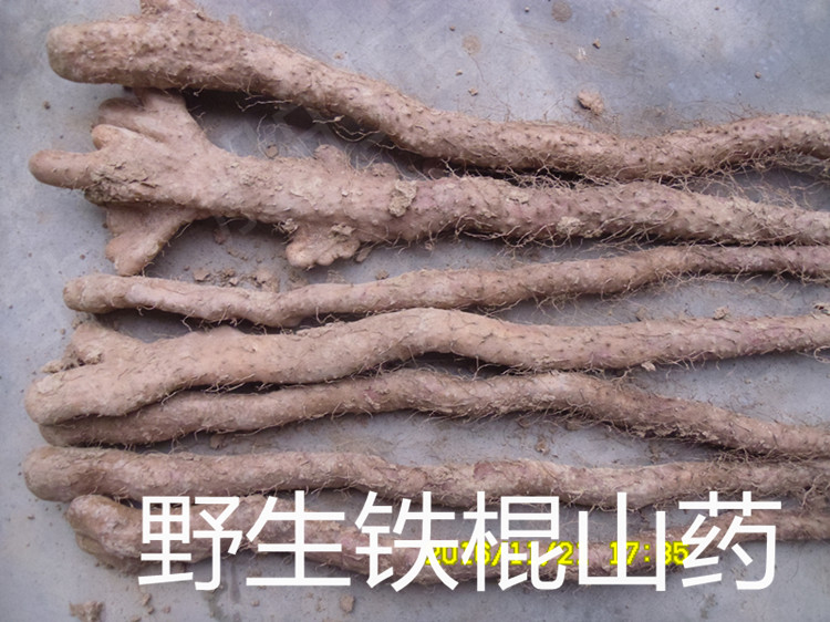 18年野生山药◆太行山◆深山野生铁棍山药◆假一赔十 特价包邮在类目 传统滋补营养品, 山药中 - 来自Buy2taobao.com提供专业的淘宝代购服务