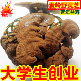  灵芝野生 源于河南秦岭山脉 赤灵芝干货可切灵芝片 特价1斤包邮