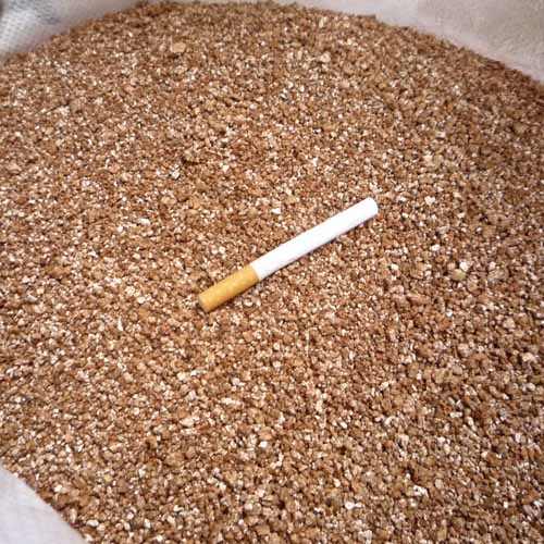 MBY-蛭石大包裝-中粒3-5MM-60L(園藝栽培介質/保溫/保濕/孵化用)在類目 鮮花速遞/花卉仿真/綠植園藝, 園藝用品, 家庭園藝肥料/營養土/營養液中 - 來自Buy2taobao.com提供專業的淘寶代購服務