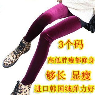  包邮春装铅笔小脚女士韩国金丝绒打底裤女秋冬显瘦款大码