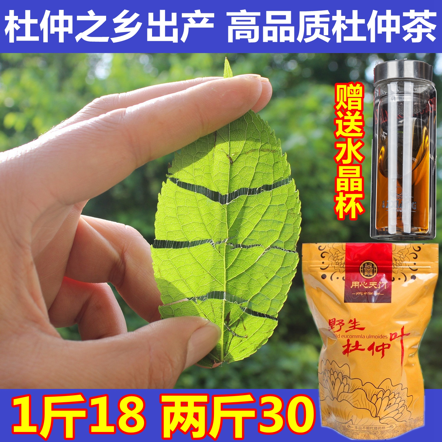 湖南張家界特産野生成葉杜仲茶2019新茶正年品安神養生茶杜仲原葉在類目 傳統滋補營養品, 養生茶中 - 來自Buy2taobao.com提供專業的淘寶代購服務