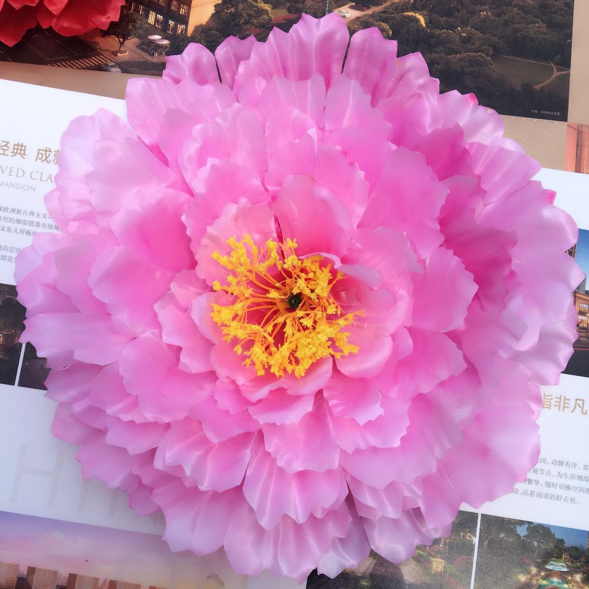 十一大促舞蹈秧歌手拿花演出道具广场舞头花演出头饰手腕花牡丹花在类目 运动/瑜伽/健身/球迷用品, 舞蹈/健美操/体操, 更多舞种, 更多舞蹈配饰中 - 来自Buy2taobao.com提供专业的淘宝代购服务