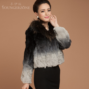 【大<em>富翁</em>叶麟】2013海宁<em>新款</em>皮草<em>马甲</em> 女式开