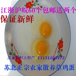  苏北农家 散养 草鸡蛋 土鸡蛋  农家散养 当天下宝宝放心吃哦
