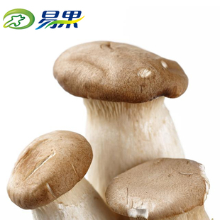  悠悦会易果 精选杏鲍菇 新鲜蔬菜菌菇食材250g一份上海