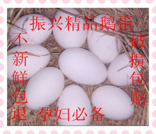  孕妇去胎毒 新鲜鹅蛋处子鹅蛋草鹅蛋 (全国空运4.5元）破损包赔