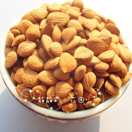 2斤包邮!苦杏仁 药用杏仁 百分百野生山杏仁 润